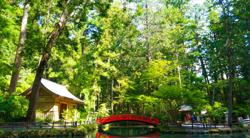 静岡 自然が美しい寺社巡り～週末にほっと一息リフレッシュ旅～ | トラベルダイアリー