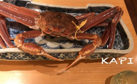 一人旅でも大丈夫！福井でタグ付き蟹を食べつくす｜ トラベルダイアリー