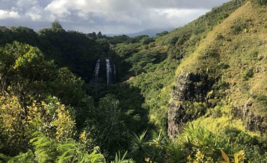 ガーデンアイランド カウアイ島のワイルドな自然に触れる| トラベルダイアリー