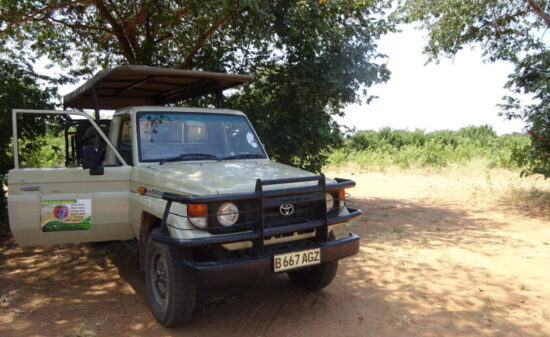 ボツワナ・チョベ国立公園にて初めてのサファリ体験! 間近でゾウの水浴びを観察| トラベルダイアリー