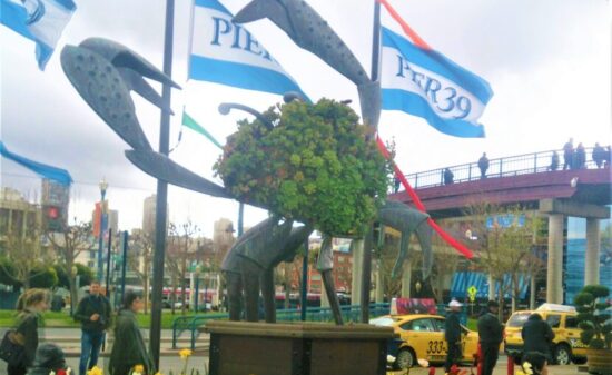 初サンフランシスコ・アルカトラズ島で恐怖に慄く…. 海と魚貝を楽しむ素敵な街＊。｜ トラベルダイアリー