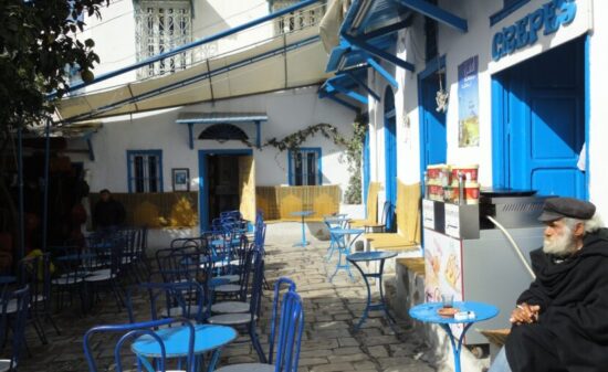 チュニス近郊・遺跡の街カルタゴとシディブサイドへ｜ トラベルダイアリー