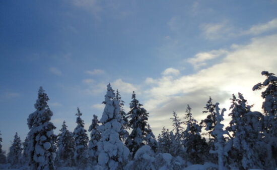 ラップランドのリゾート地サーリセルカで雪遊びを楽しみつくす!| トラベルダイアリー