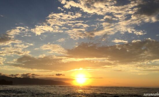 初めての子連れ海外♡ハワイを楽しみ尽くす！～ノースショア編～｜ トラベルダイアリー