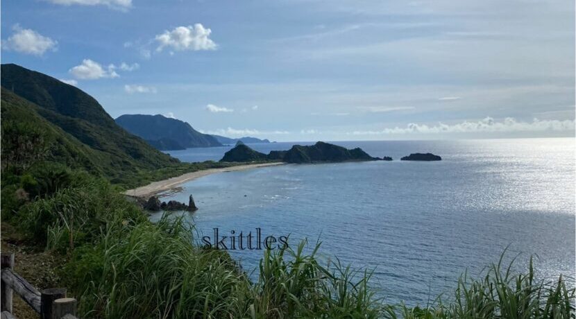 まさに楽園！？世界遺産の島、「奄美大島」| トラベルダイアリー