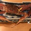 一人旅でも大丈夫！福井でタグ付き蟹を食べつくす｜ トラベルダイアリー